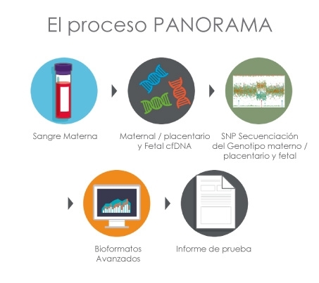 550 (8) - Dhfertilidad